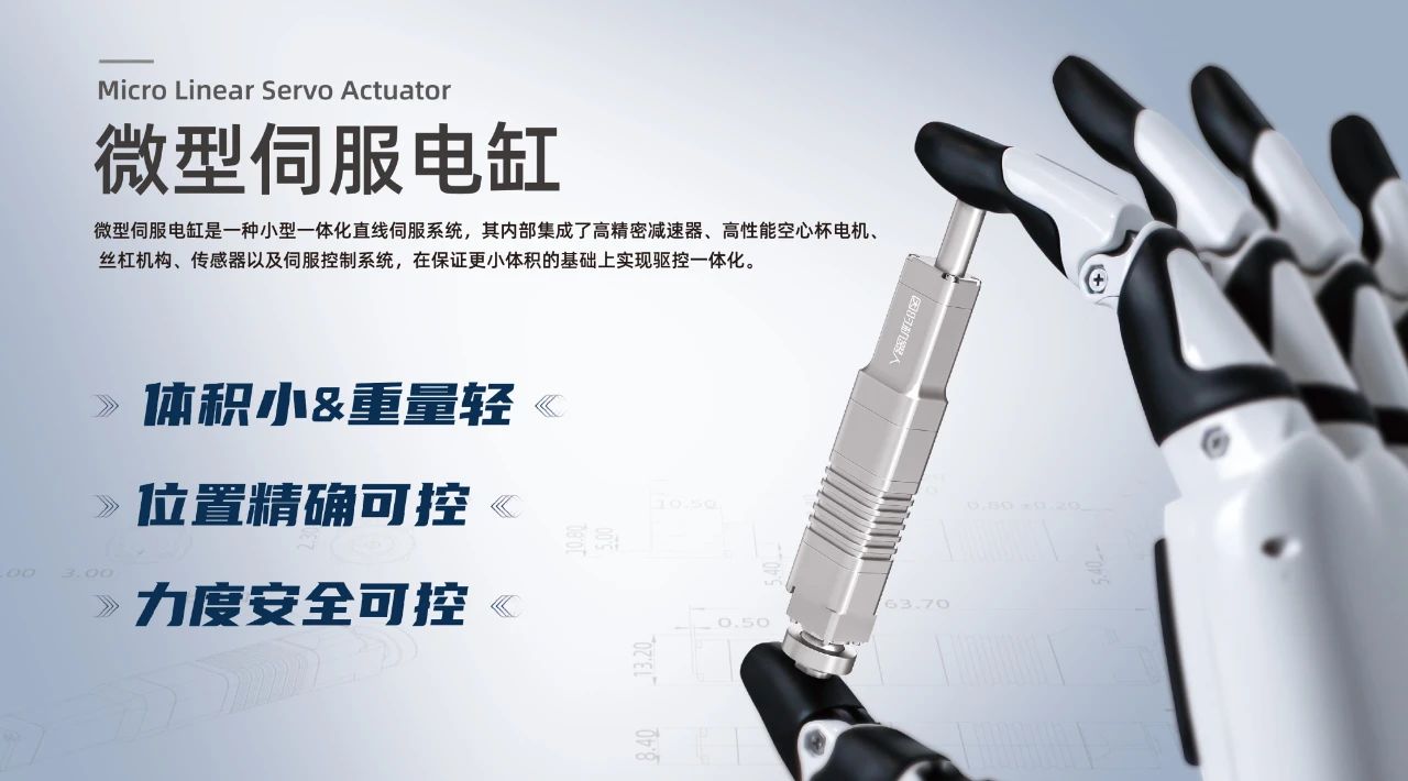 1723182615436527.jpg 4.jpg