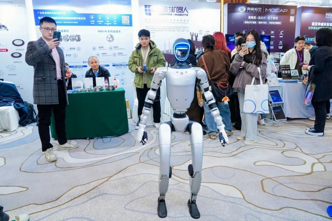 1733815032339721.jpg 3.jpg